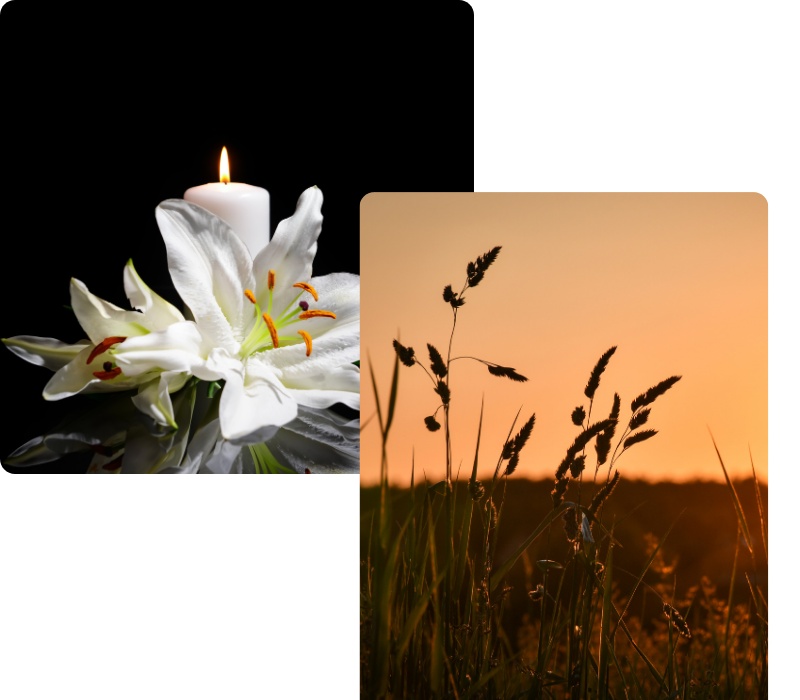 Untitled design (4)
