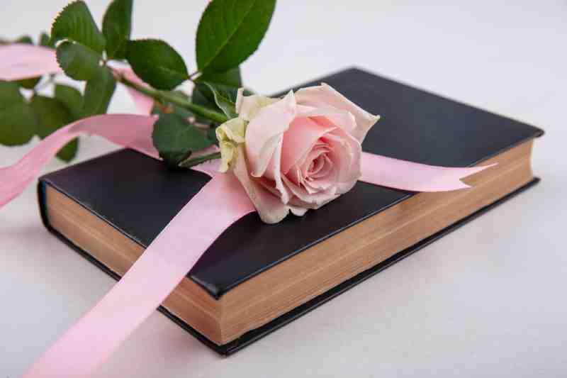 beautiful-pink-rose-with-book