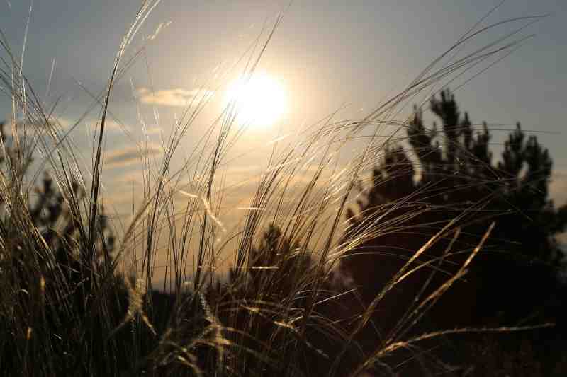 sun-nature-view-horizon