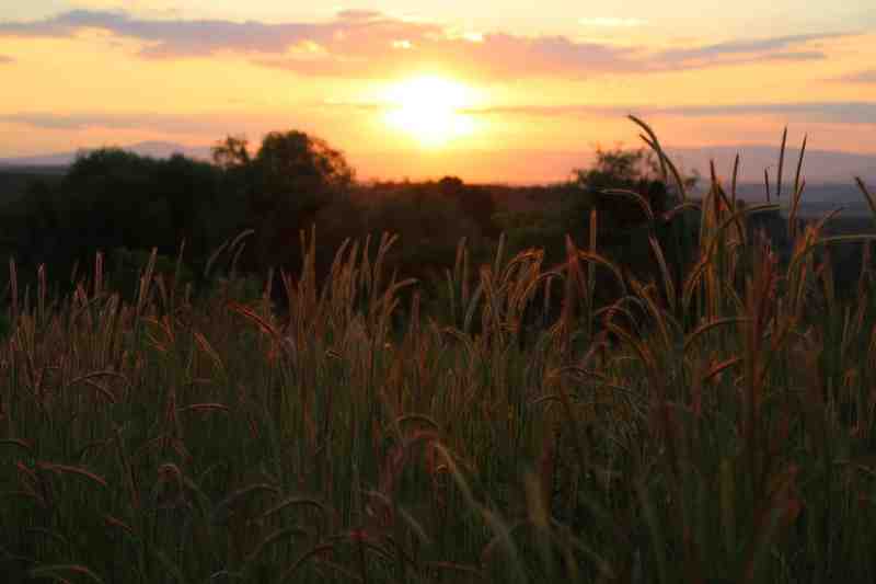 sunset-sun-view-nature