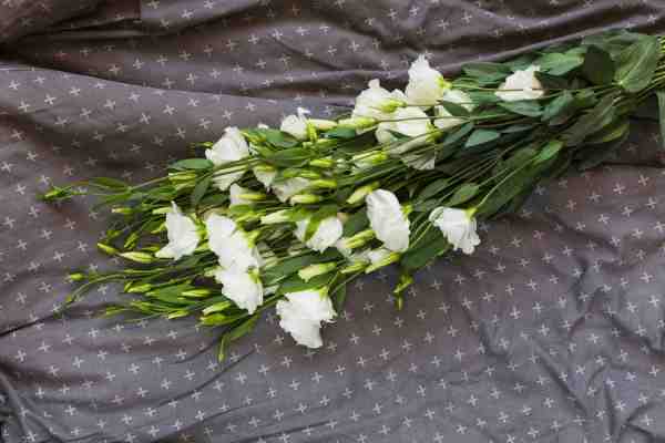 white-flower