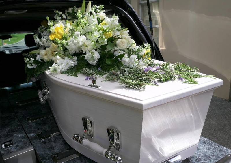 white flowering plants